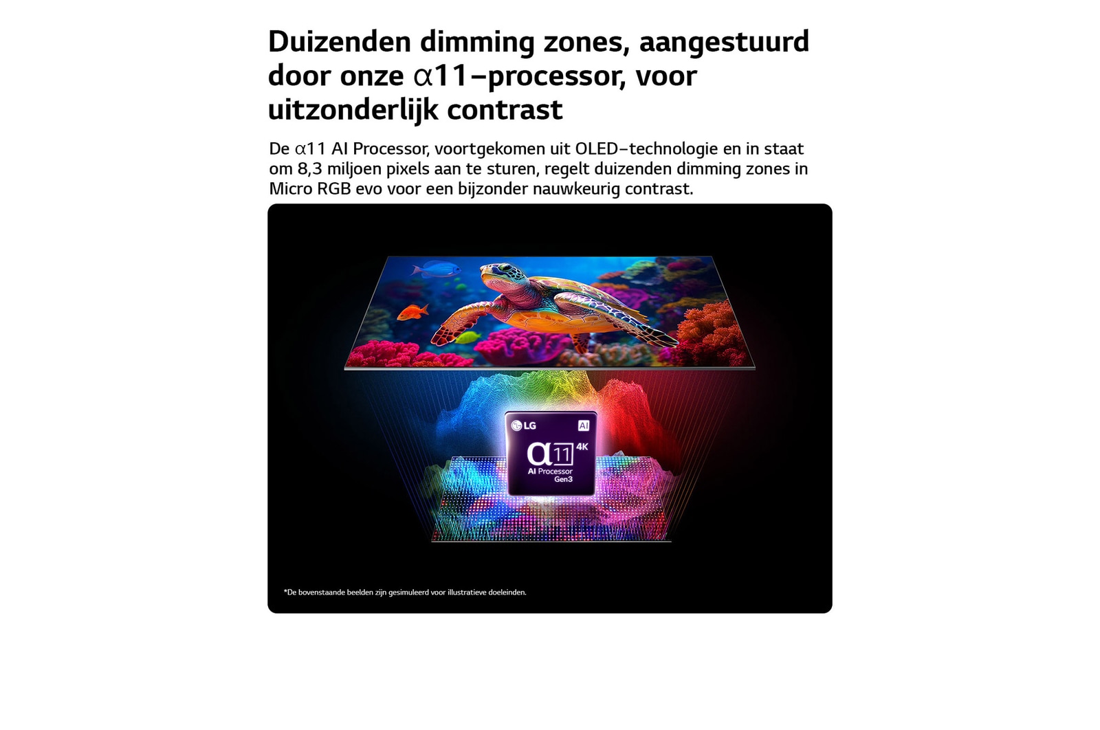 LG Micro RGB evo AI MRGB95 met Micro Dimming Ultra toont een levendig zeeleven met precieze kleurscheiding over meer dan 8,3 miljoen pixels, versterkt door duizenden dimmingszones aangestuurd door alpha 11 AI Processor 4K Gen3.